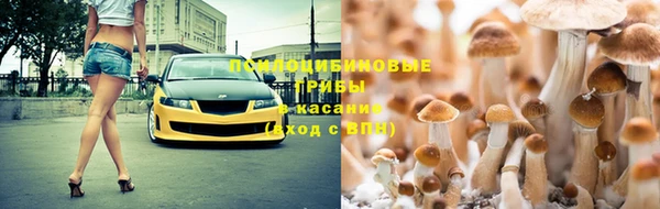 соль ск Верхний Тагил