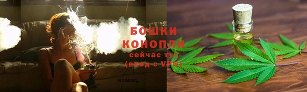 соль ск Верхний Тагил