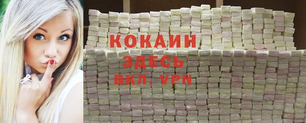 соль ск Верхний Тагил