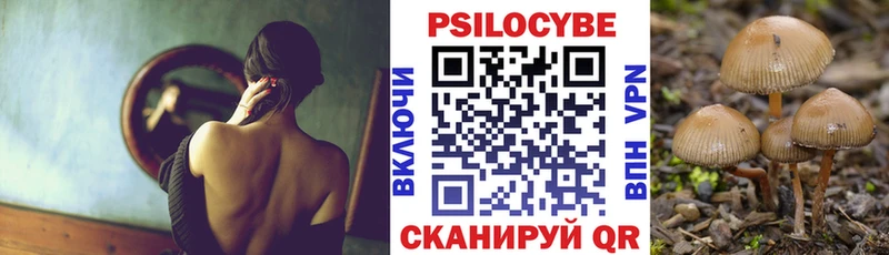 Псилоцибиновые грибы мицелий omg ТОР Майкоп продажа наркотиков